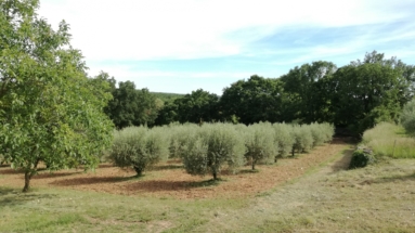 Le Clos des Taulelles